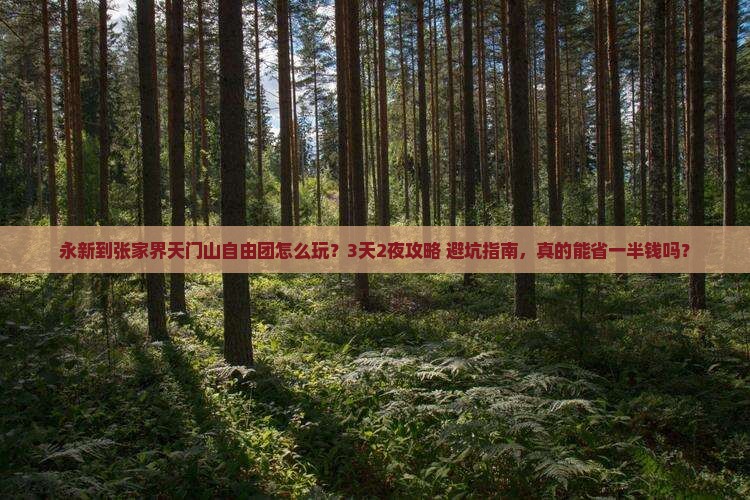 永新到张家界天门山自由团