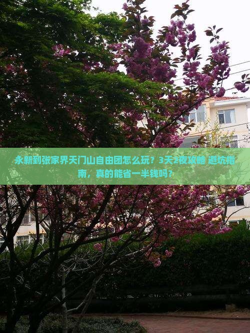 永新到张家界天门山自由团