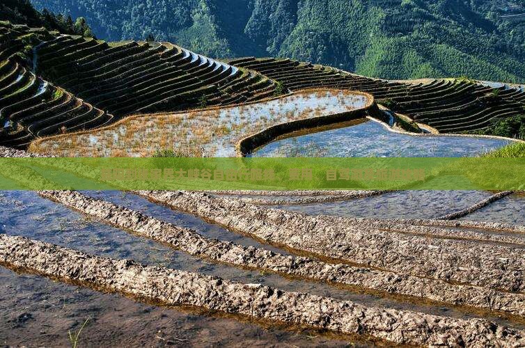 益阳到张家界大峡谷自由行