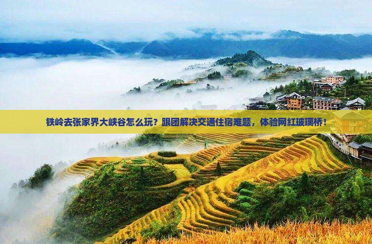 铁岭去张家界大峡谷团体旅游