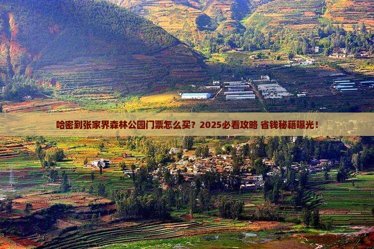 哈密到张家界森林公园门票