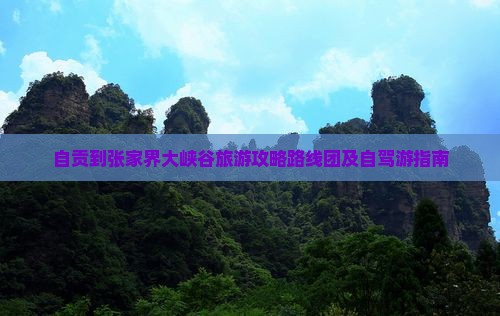 自贡到张家界大峡谷旅游