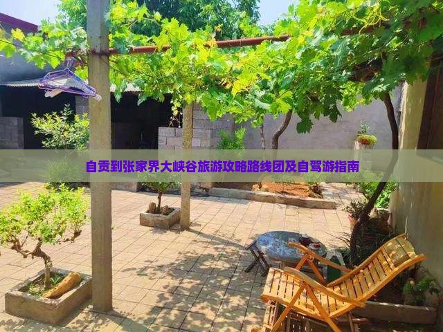 自贡到张家界大峡谷旅游