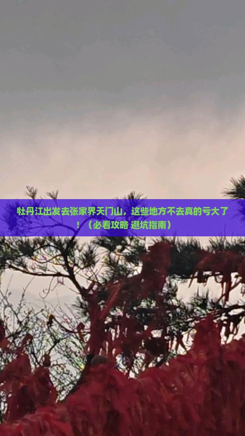 牡丹江去张家界天门山必去地