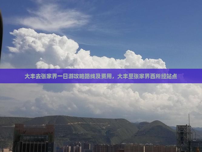 大丰去张家界一日