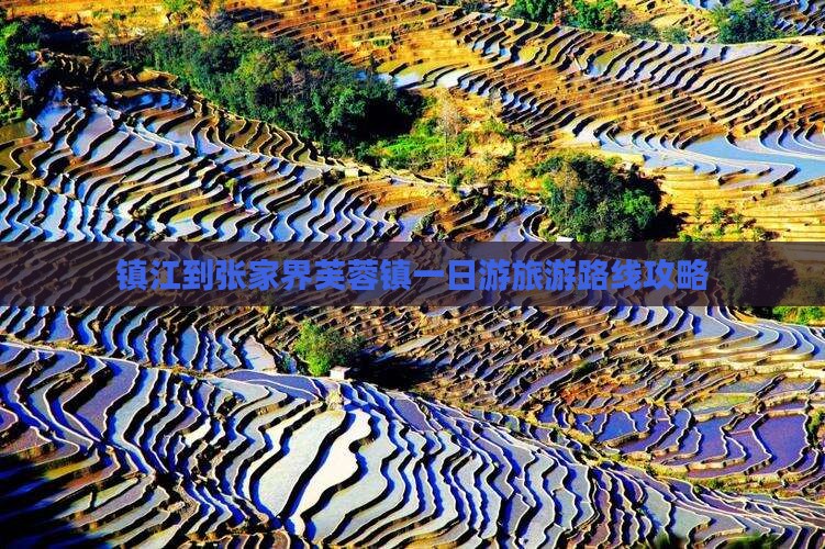 镇江到张家界芙蓉镇一日
