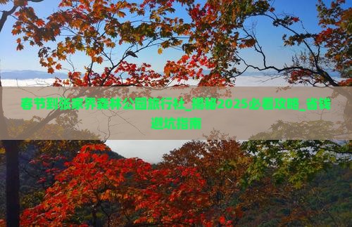 春节到张家界森林公园旅行社