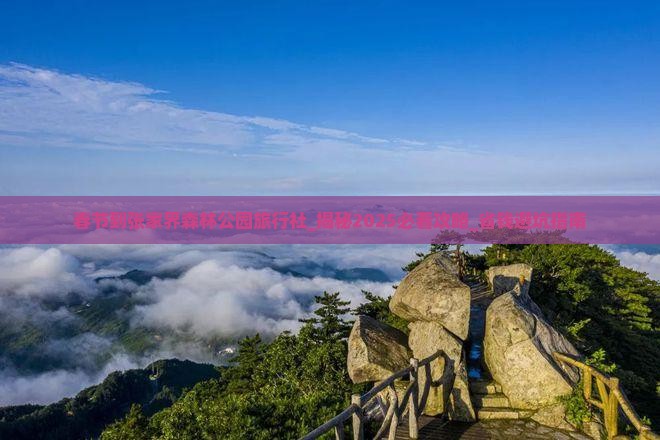 春节到张家界森林公园旅行社