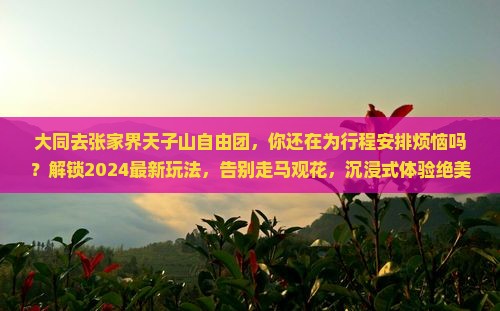 大同去张家界天子山自由团