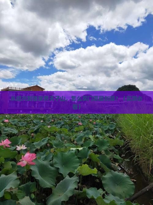 绍兴去张家界天子山门票