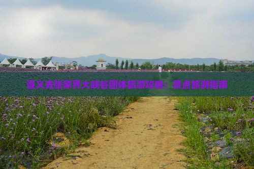 遵义去张家界大峡谷团体旅游