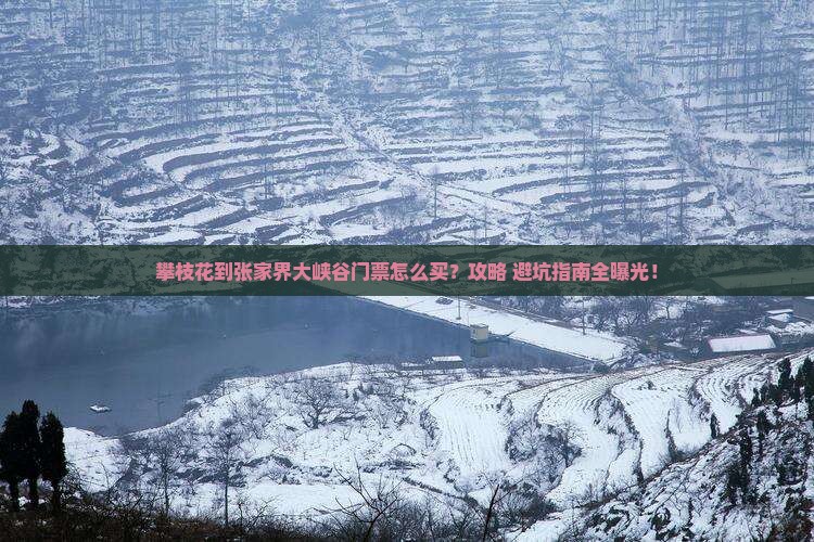 攀枝花到张家界大峡谷门票