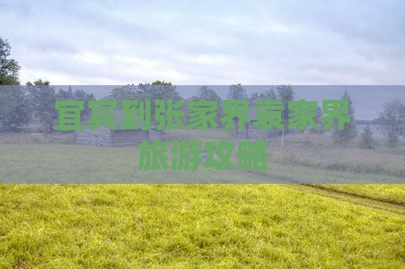 宜宾到张家界袁家界攻略