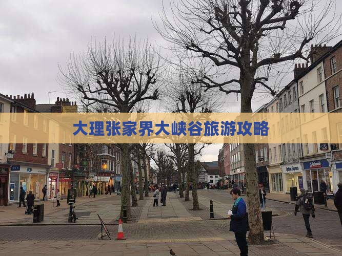 大理去张家界大峡谷个人游