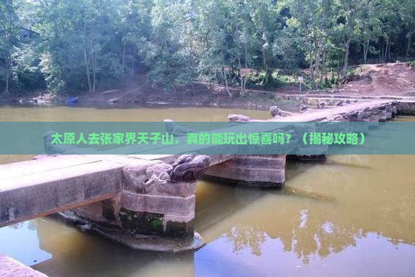 太原去张家界天子山个人游