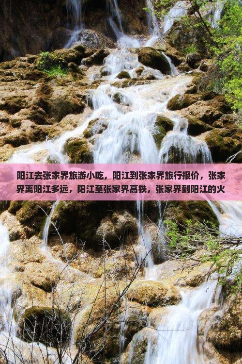 阳江去张家界旅游小吃