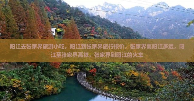阳江去张家界旅游小吃