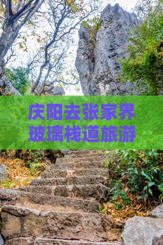 庆阳去张家界玻璃栈道自由团