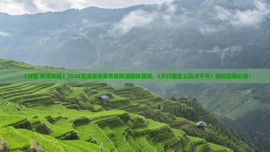 芜湖去张家界武陵源团体旅游