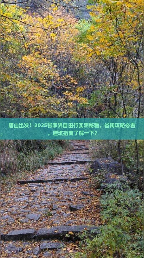 唐山去张家界自由团
