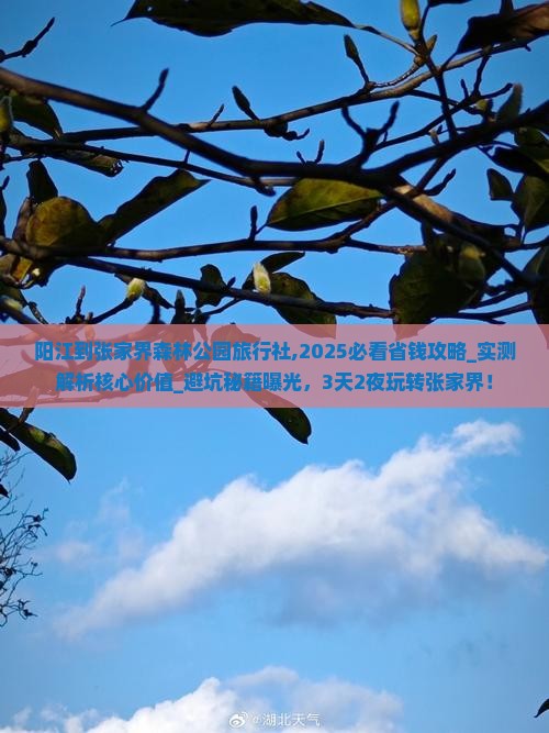 阳江到张家界森林公园旅行社