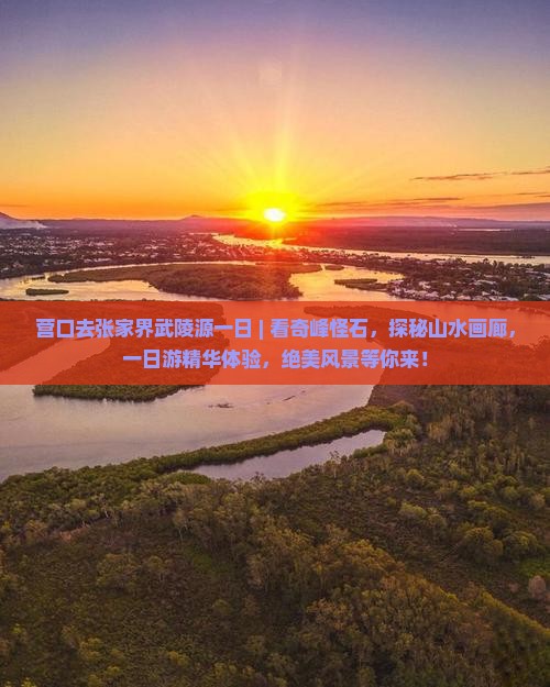 营口去张家界武陵源一日