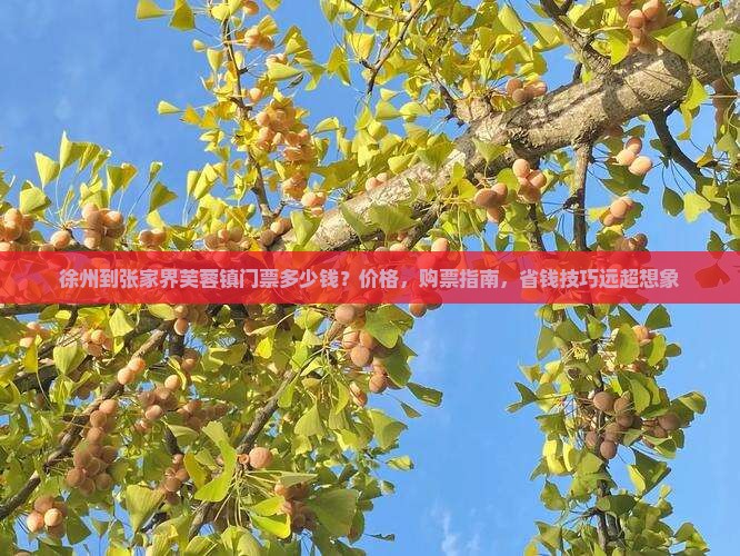 徐州到张家界芙蓉镇门票