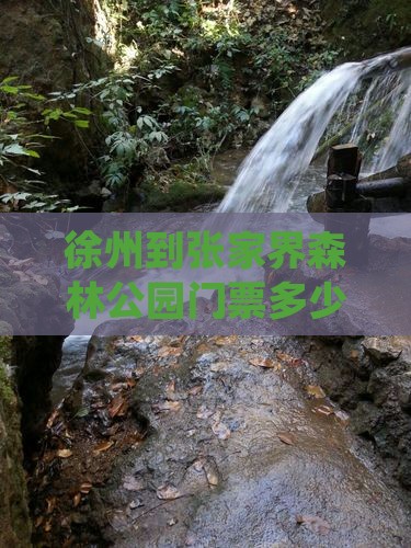 徐州到张家界森林公园门票