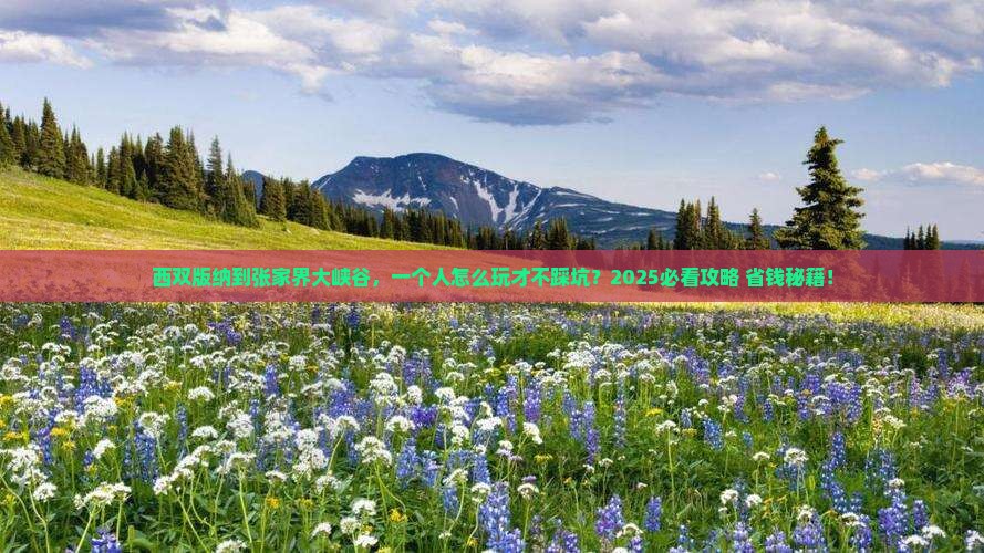 西双版纳到张家界大峡谷个人游