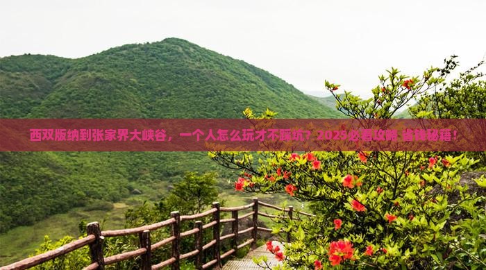 西双版纳到张家界大峡谷个人游