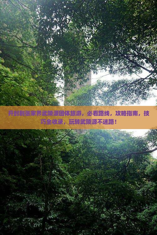 开封到张家界武陵源团体旅游