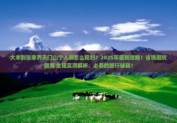 大丰到张家界天门山个人游