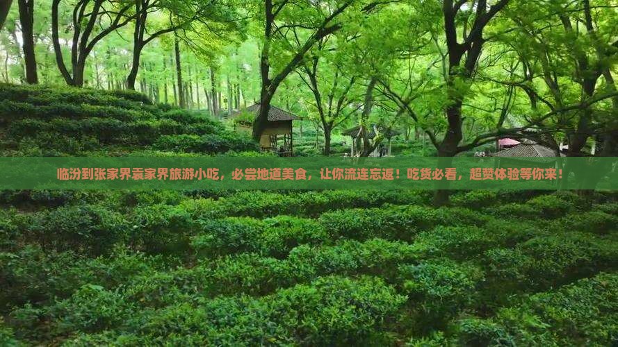 临汾到张家界袁家界旅游小吃