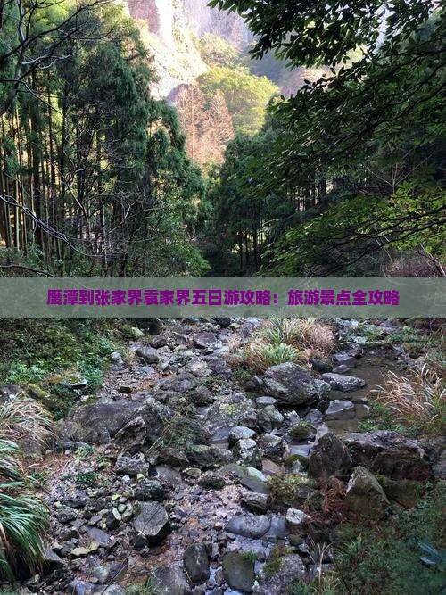 鹰潭到张家界袁家界五日游