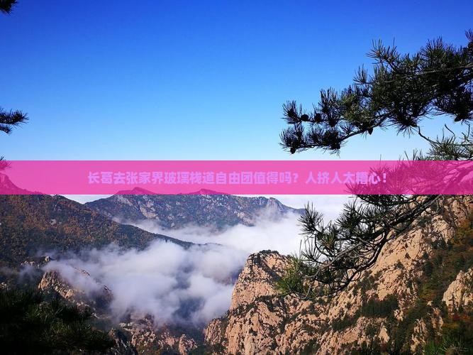 长葛去张家界玻璃栈道自由团 长葛去张家界玻璃栈道自由团