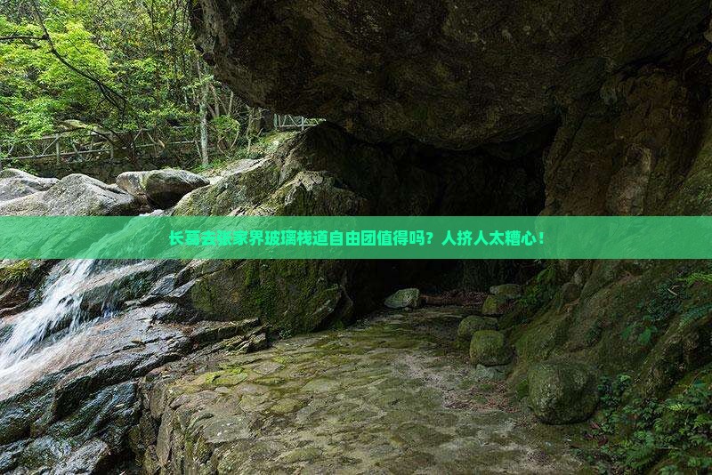 长葛去张家界玻璃栈道自由团 长葛去张家界玻璃栈道自由团