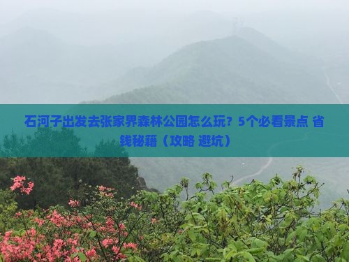 石河子去张家界森林公园团体旅游