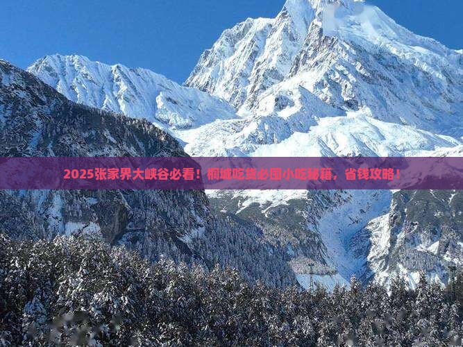桐城去张家界大峡谷旅游小吃 桐城去张家界大峡谷旅游小吃