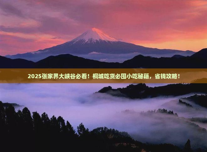 桐城去张家界大峡谷旅游小吃 桐城去张家界大峡谷旅游小吃