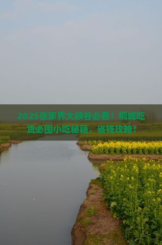 桐城去张家界大峡谷旅游小吃 桐城去张家界大峡谷旅游小吃