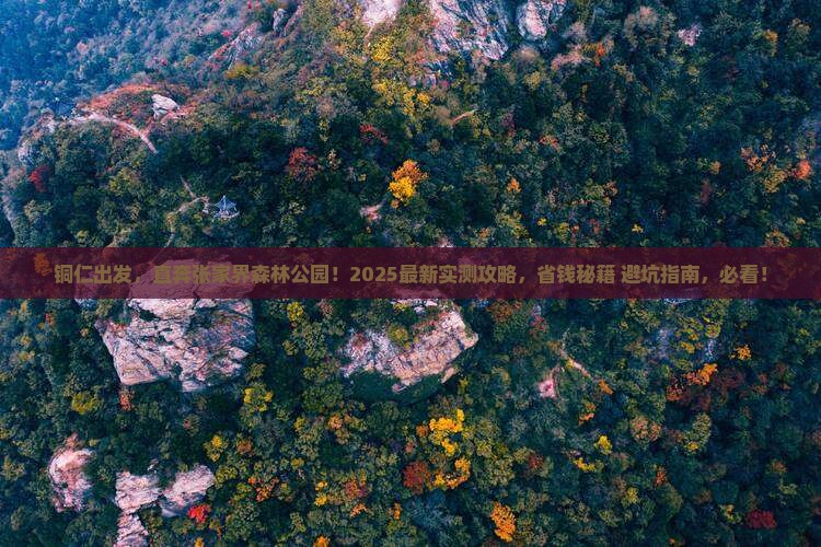 铜仁到张家界森林公园自由行