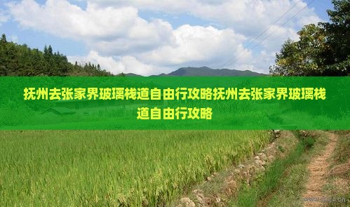 抚州去张家界玻璃栈道自由行