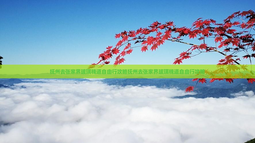 抚州去张家界玻璃栈道自由行