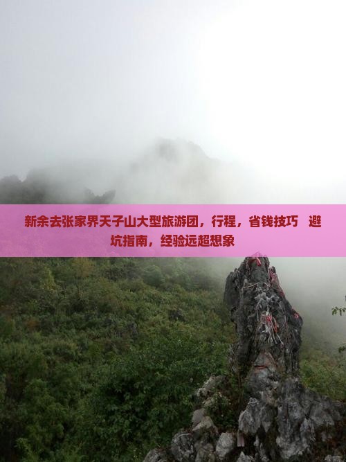 新余去张家界天子山大型旅游团 新余去张家界天子山大型旅游团