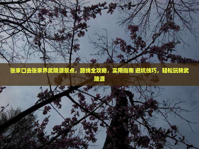 张家口去张家界武陵源景点