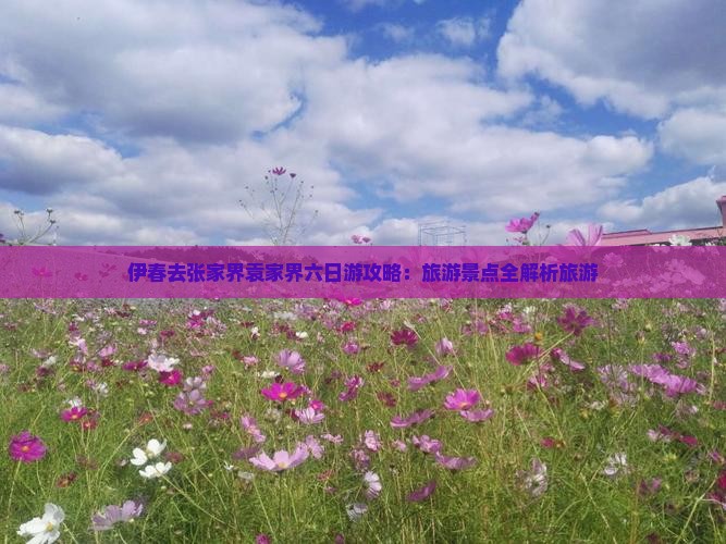 伊春去张家界袁家界六日游