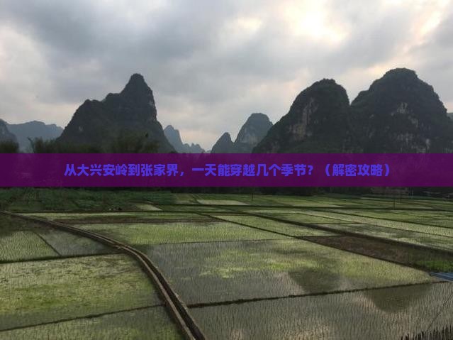 大兴安岭到张家界一日