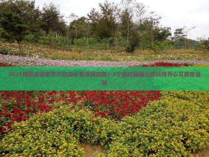 揭阳去张家界六日游