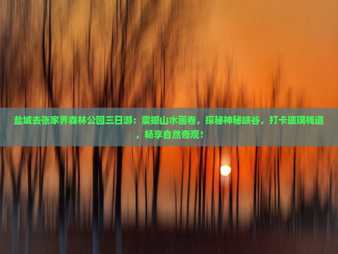 盐城去张家界森林公园三日游