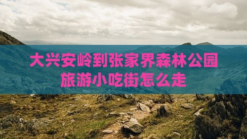 大兴安岭到张家界森林公园旅游小吃